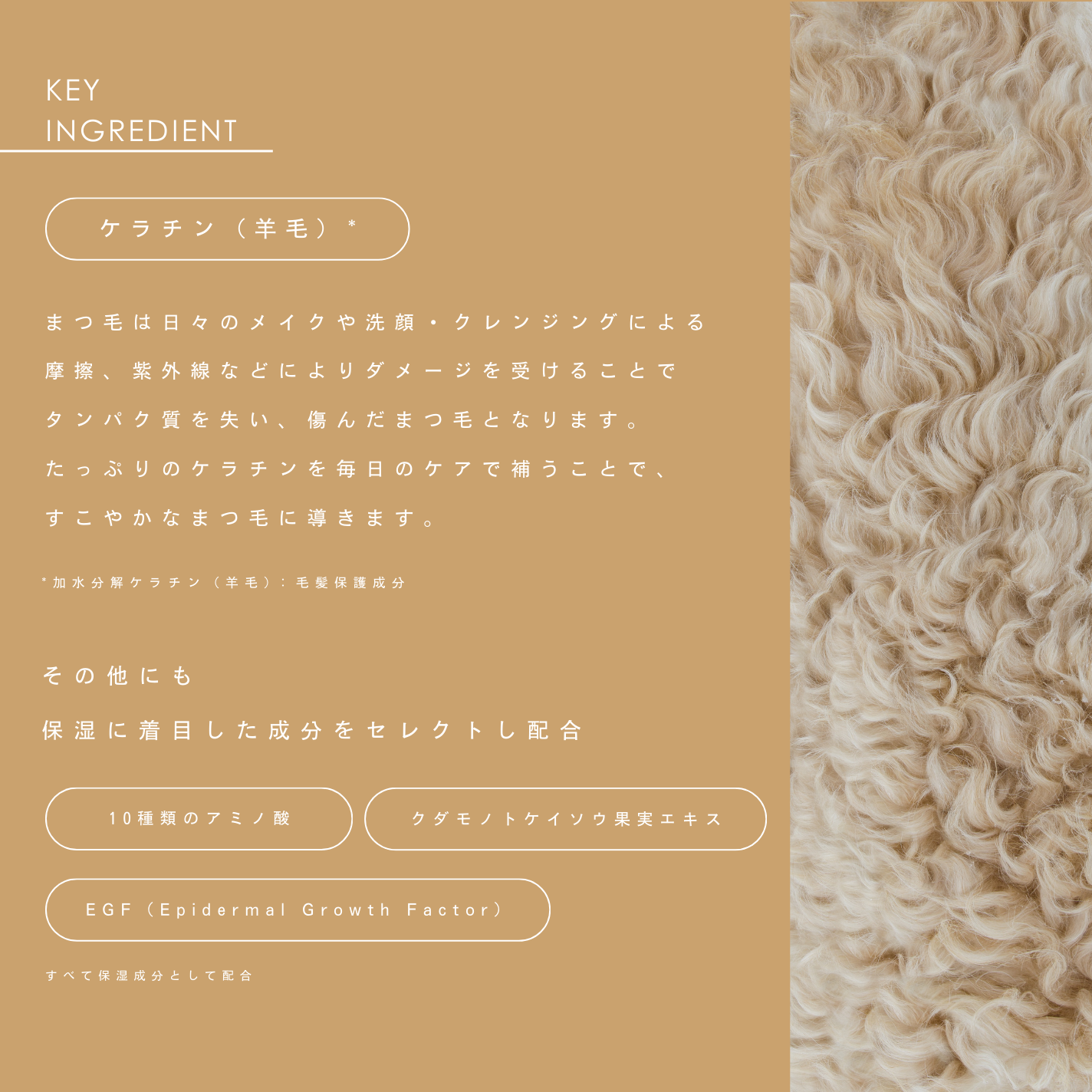 ザアイラッシュセラム トリートメント