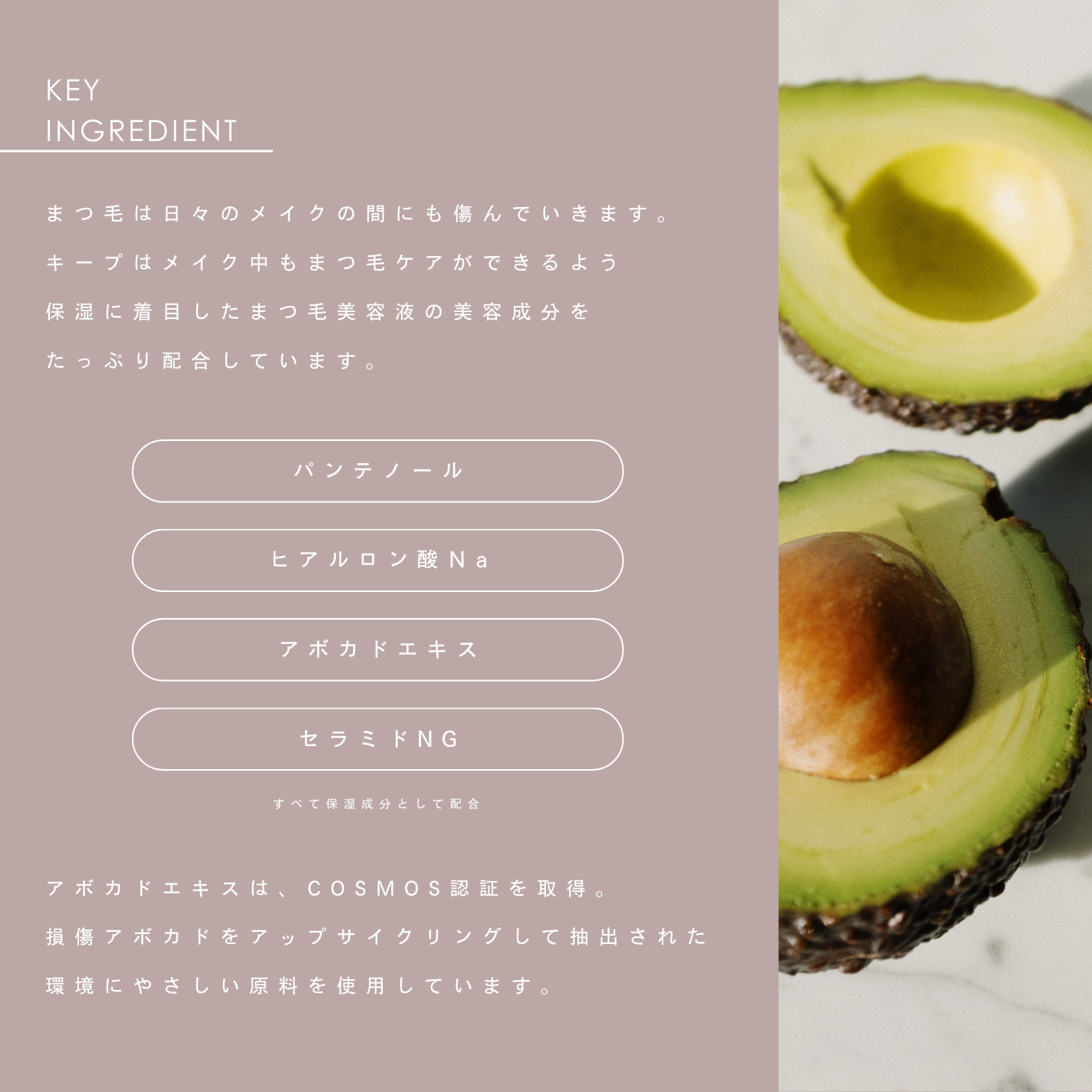 ザアイラッシュセラム キープ