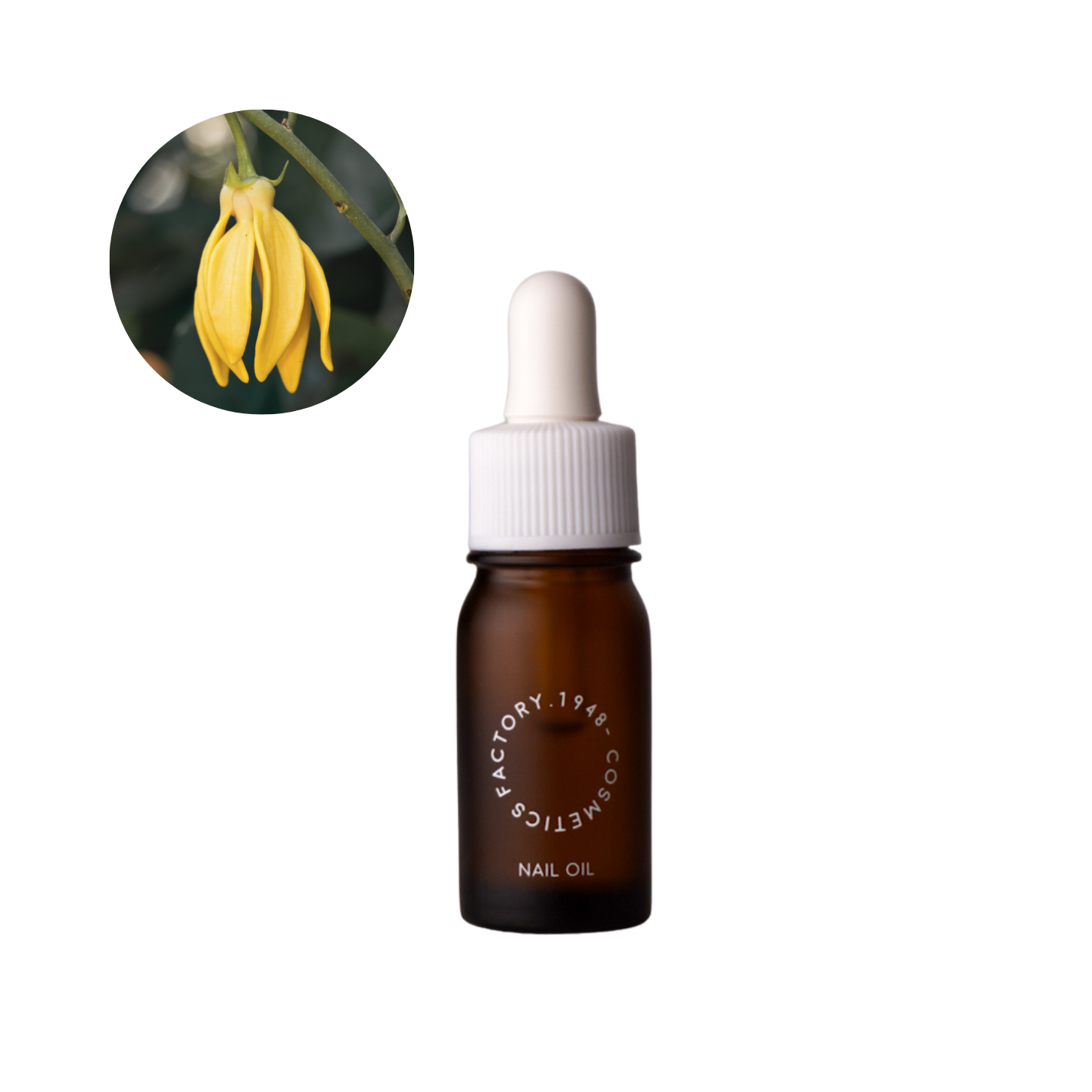 イチキューヨンハチネイルオイル イランイラン