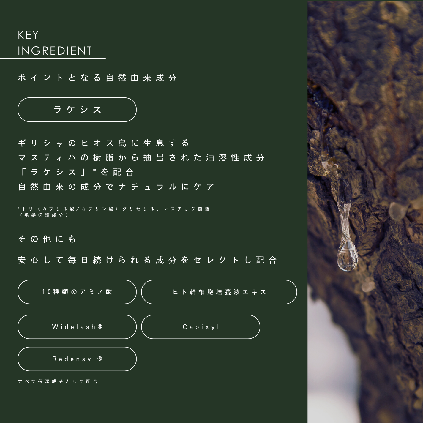 ザアイラッシュセラム スプラウト