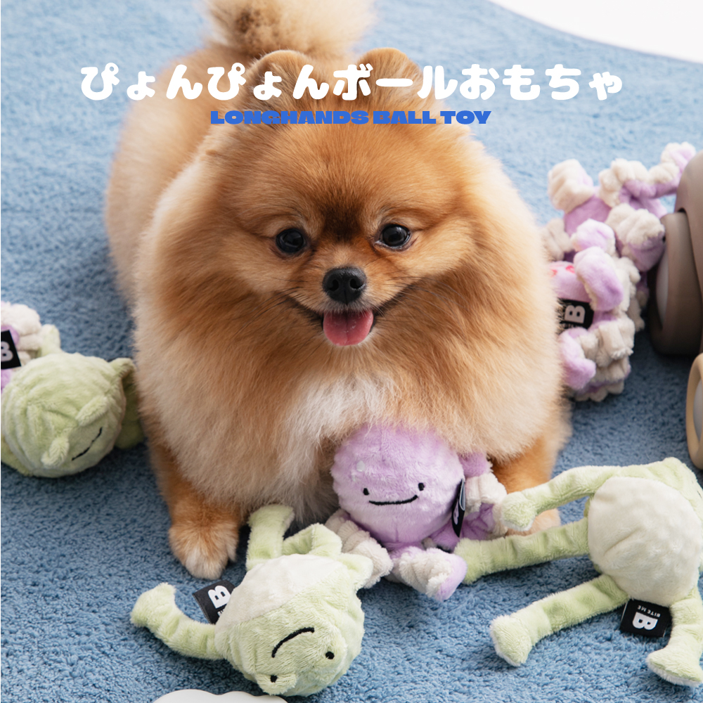 ぴょんぴょんボールおもちゃ（カエル）