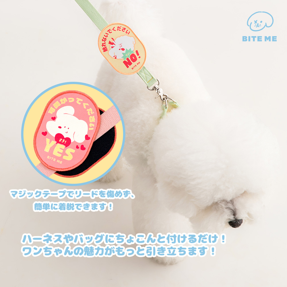 お散歩メッセージワッペン 種類: Yes