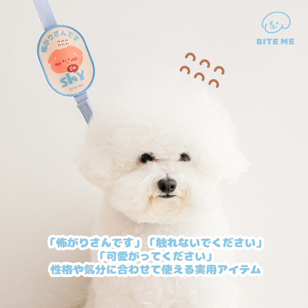お散歩メッセージワッペン 種類: Yes