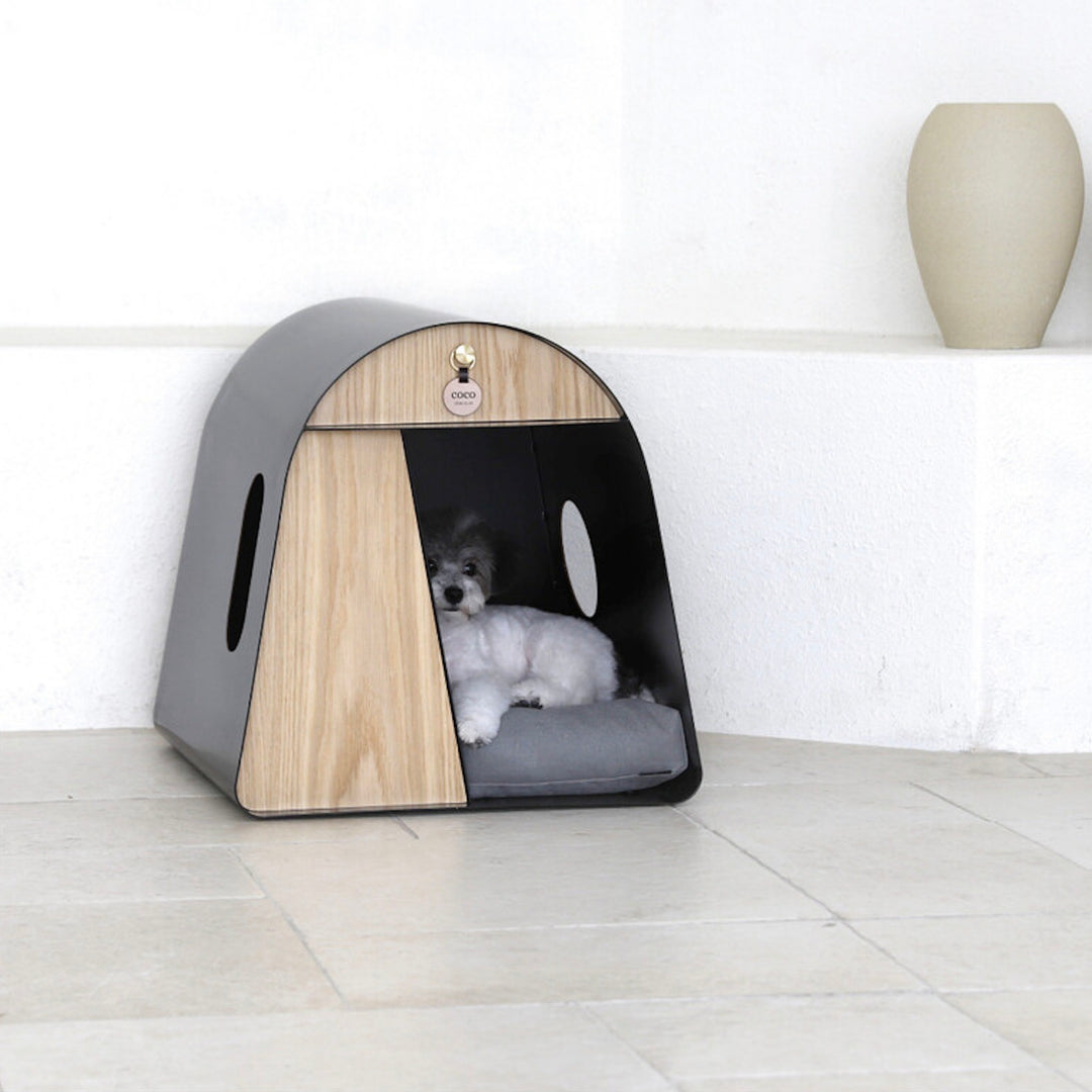 ※予約販売【andantte】A Round House 601（BLACK）
