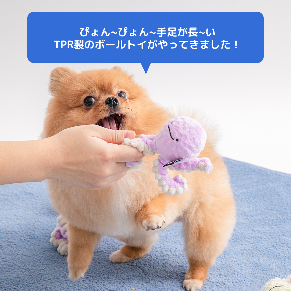 ぴょんぴょんボールおもちゃ（カエル）