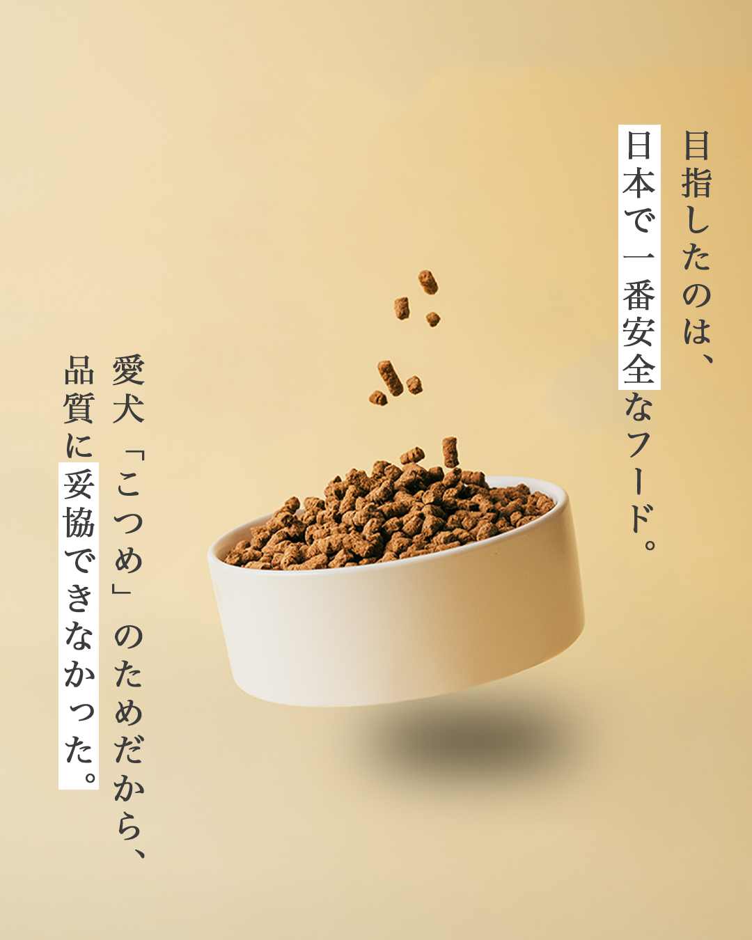 【定期・初回800g1,980円】いぬおもいごはん （2回目以降2袋）