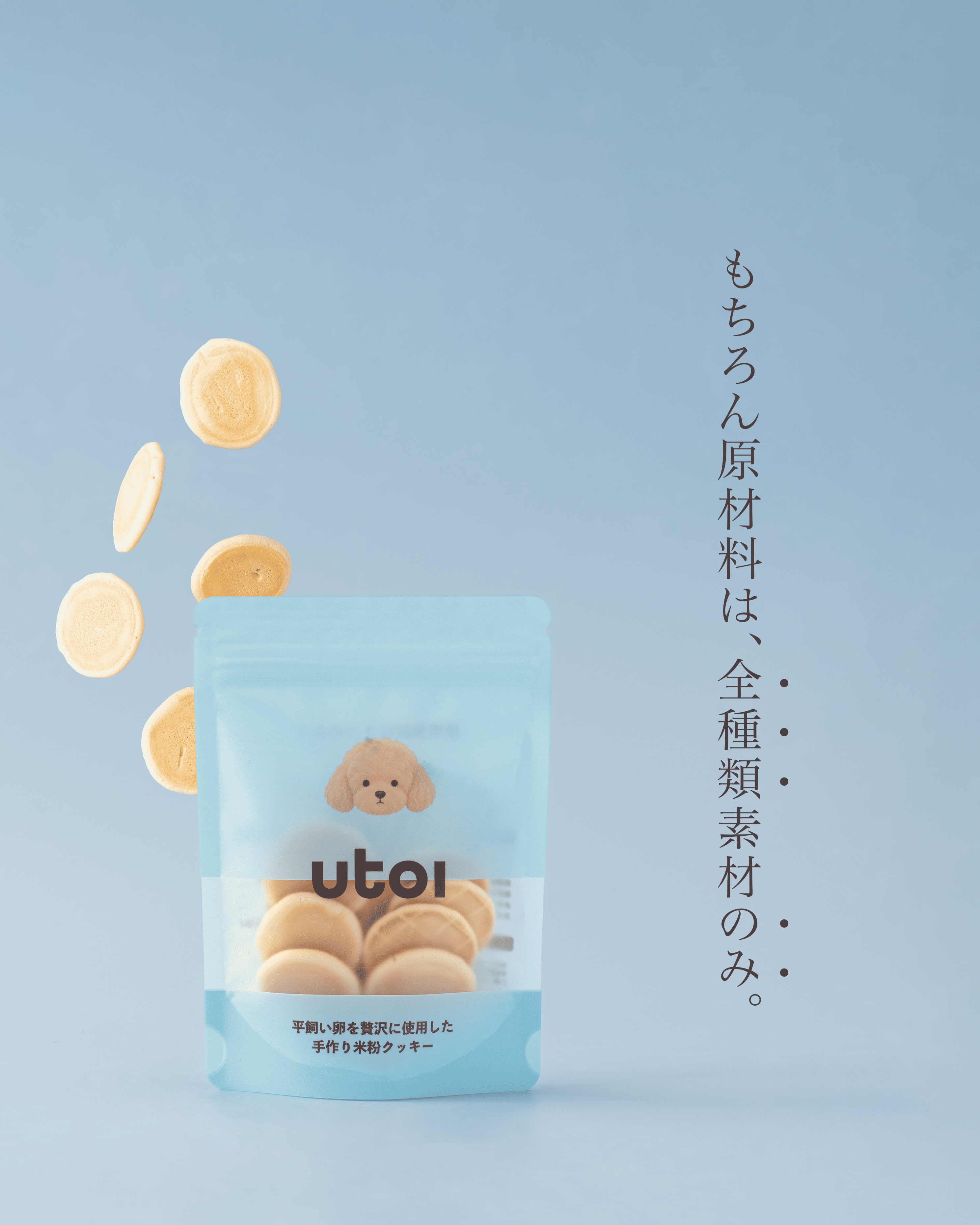 【送料無料】いぬおもいおやつ5個セット