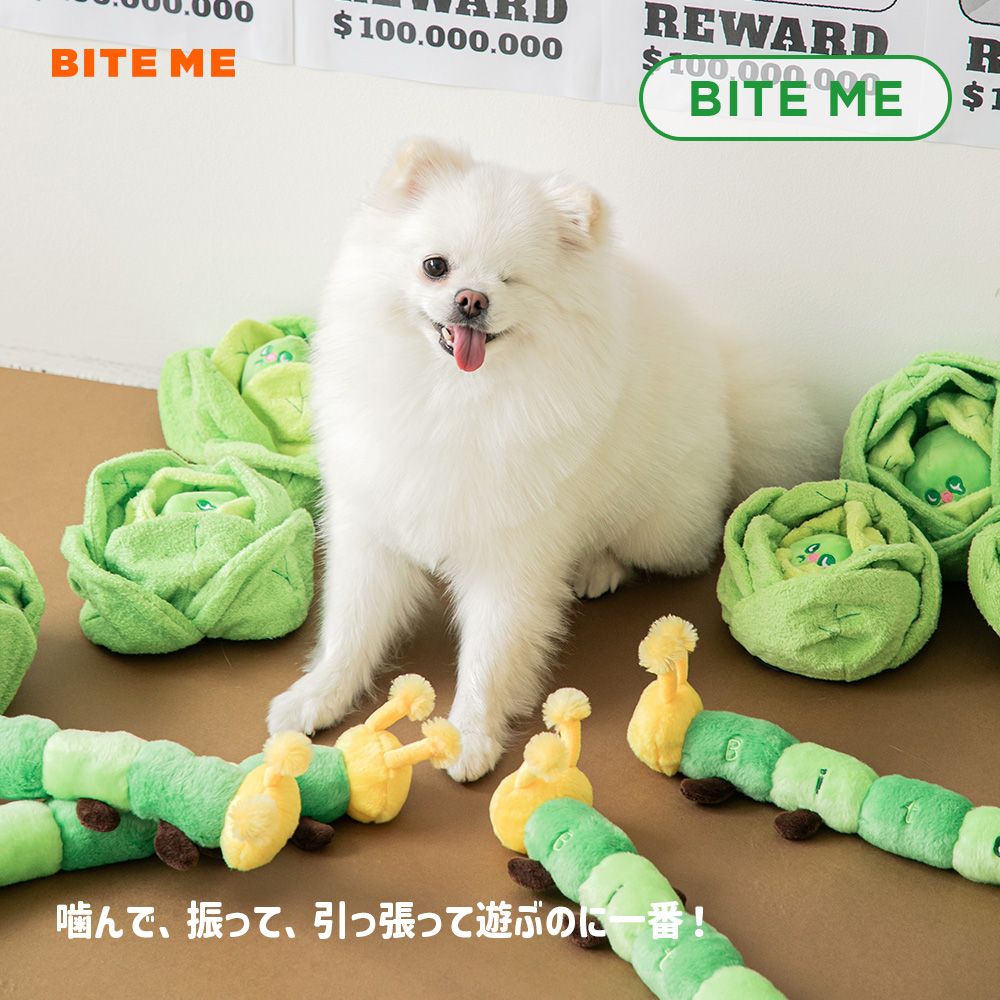 あおむしおもちゃ