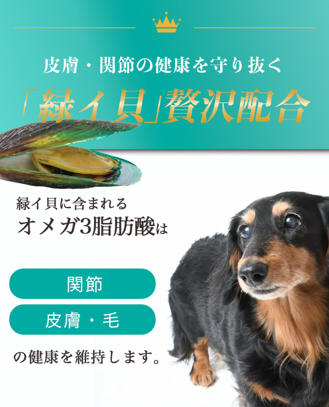 【定期/初回800g1,980円】低アレルゲンいぬおもいごはん （2回目以降2袋）