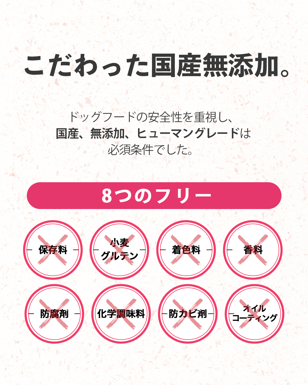 【定期/初回300g980円】低アレルゲンいぬおもいごはん（2回目以降2袋）