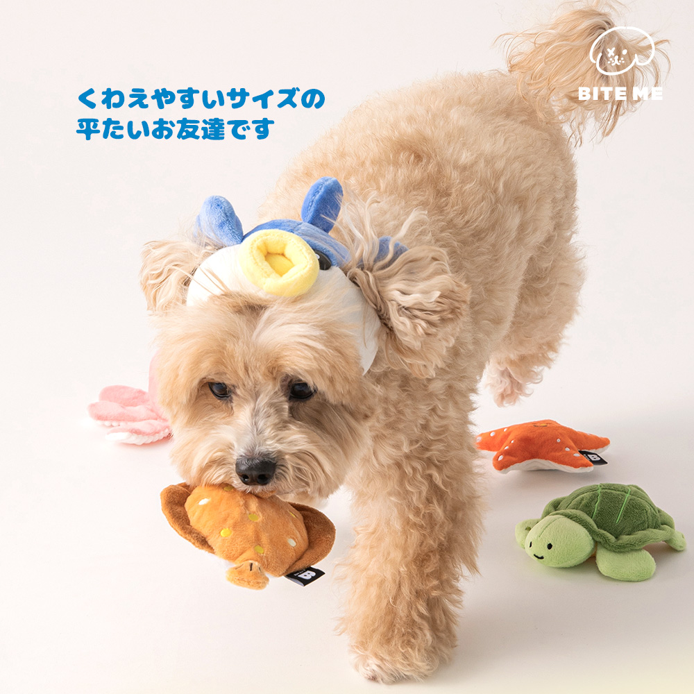 海のお友だちおもちゃ 種類: ヒトデ＆カメ
