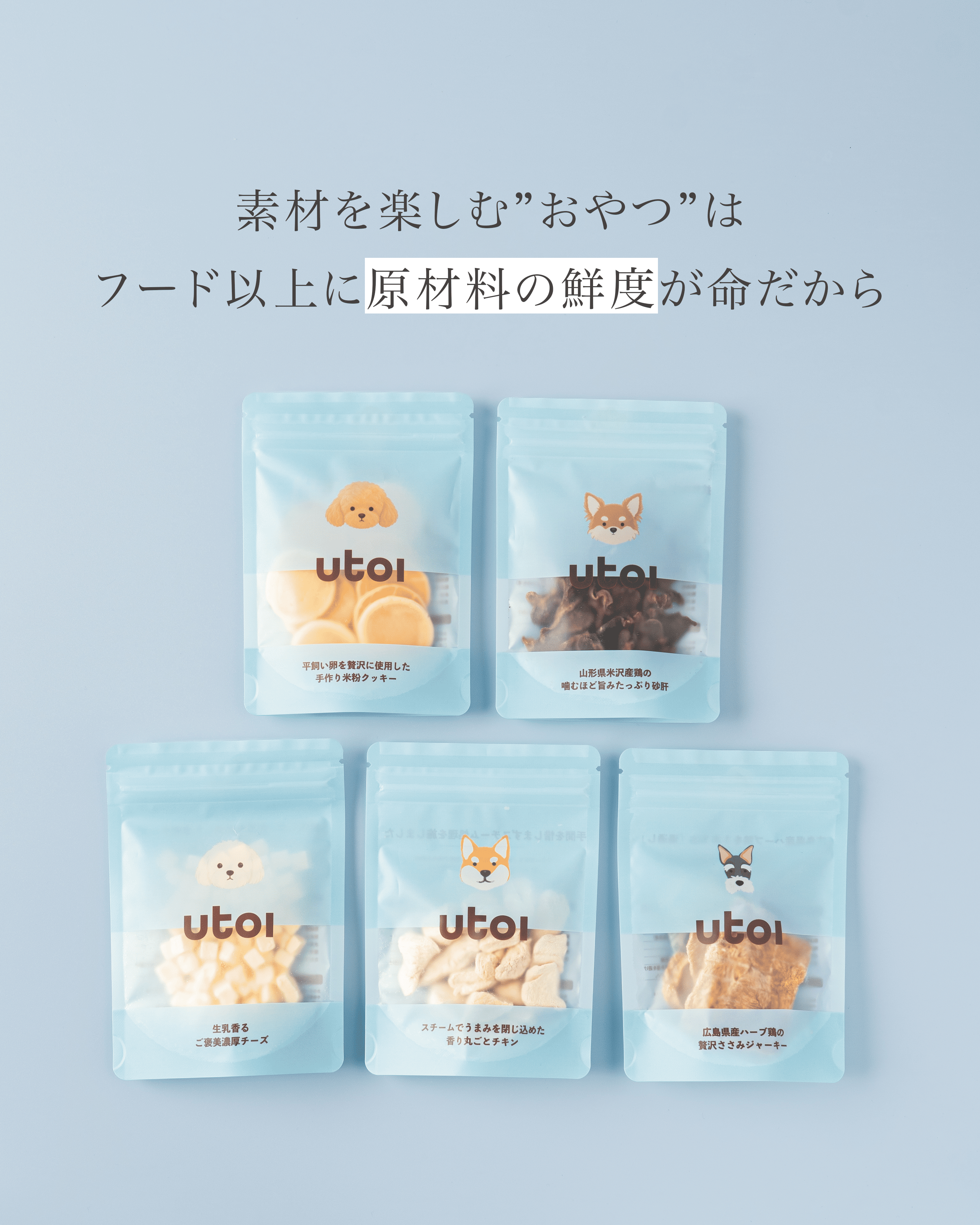 【送料無料】いぬおもいおやつ5個セット