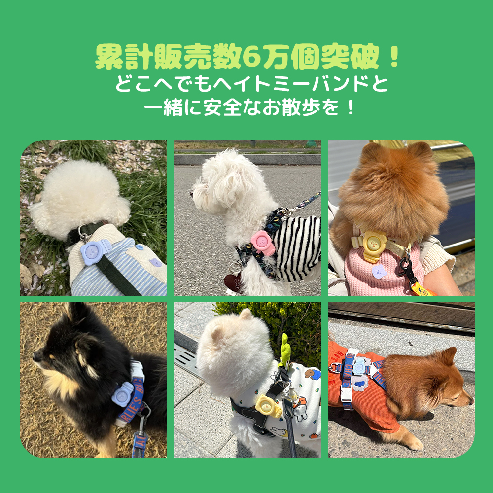 ヘイトミーバンド カラー: レモン