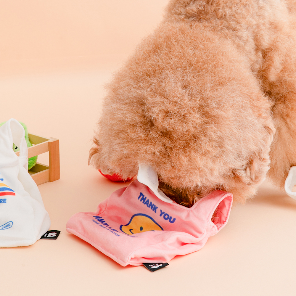 カシャカシャ ビニールズ ポケットおもちゃ 種類: ピンク