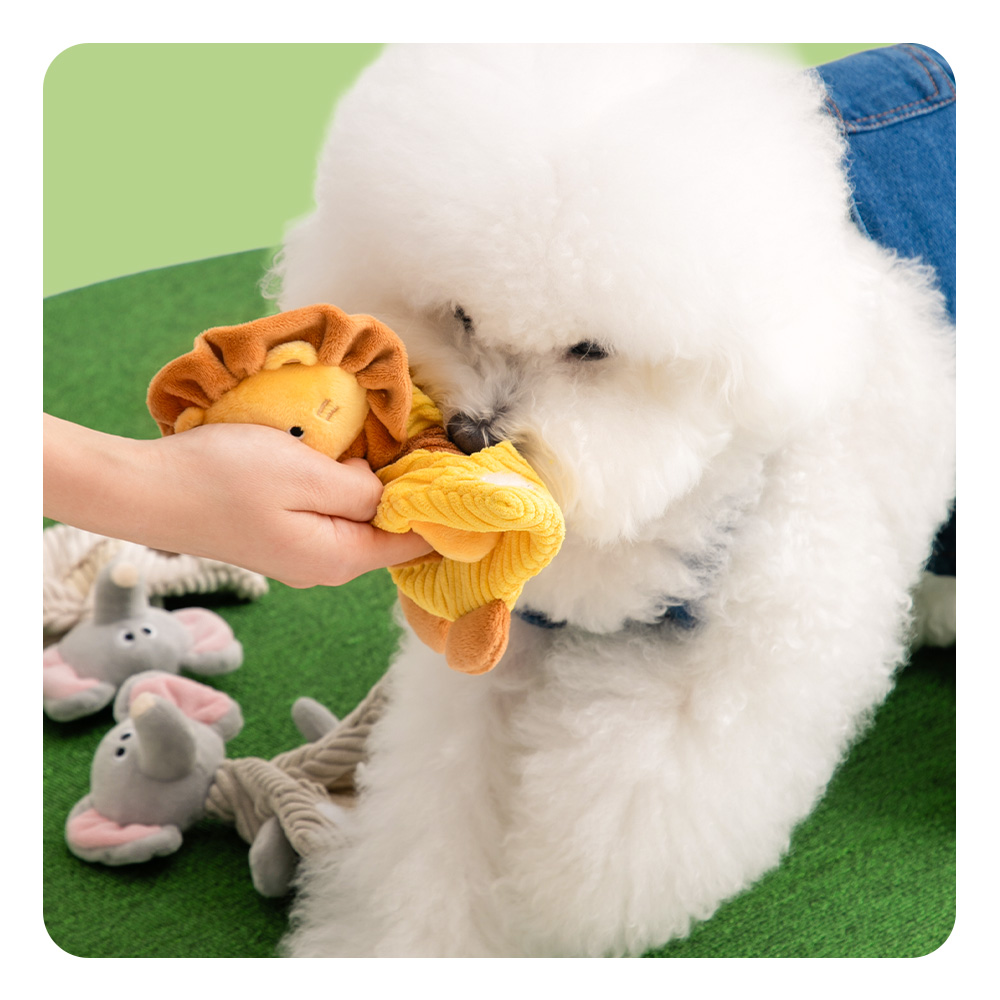 カシャカシャ ポケットマントおもちゃ（ライオン）