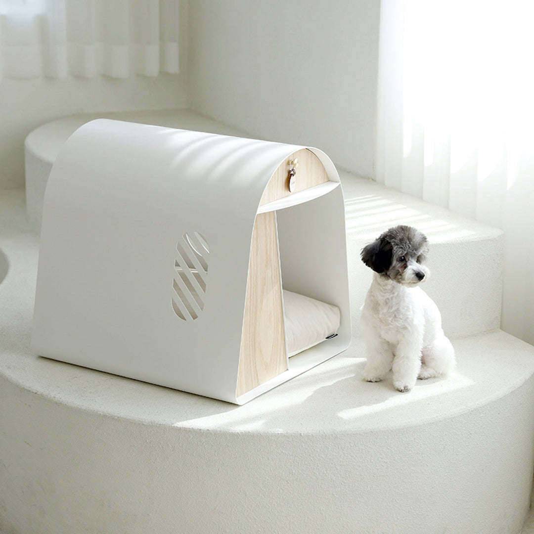※予約販売【andantte】A Round House 601（WHITE）