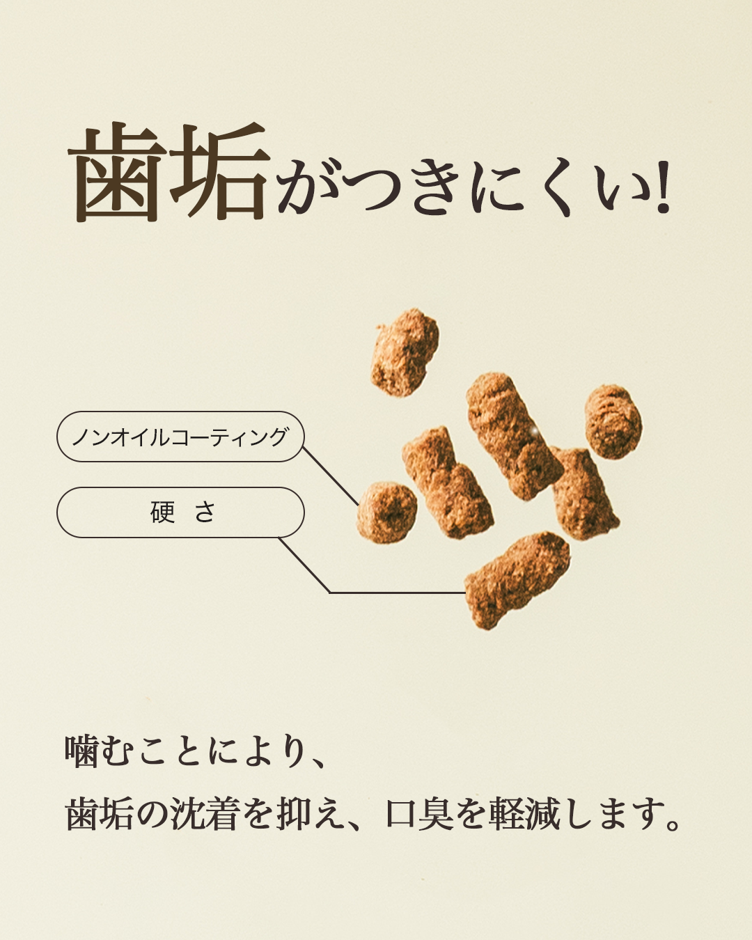 【定期・初回800g1,980円】いぬおもいごはん （2回目以降2袋）