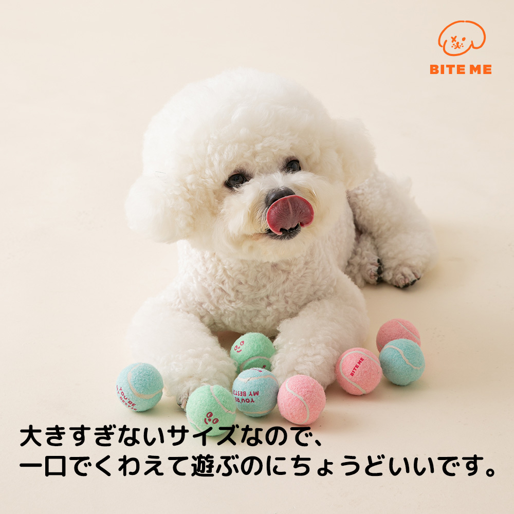 ミニテニスボールおもちゃ（3個入り）