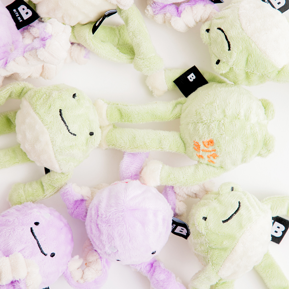 ぴょんぴょんボールおもちゃ（カエル）