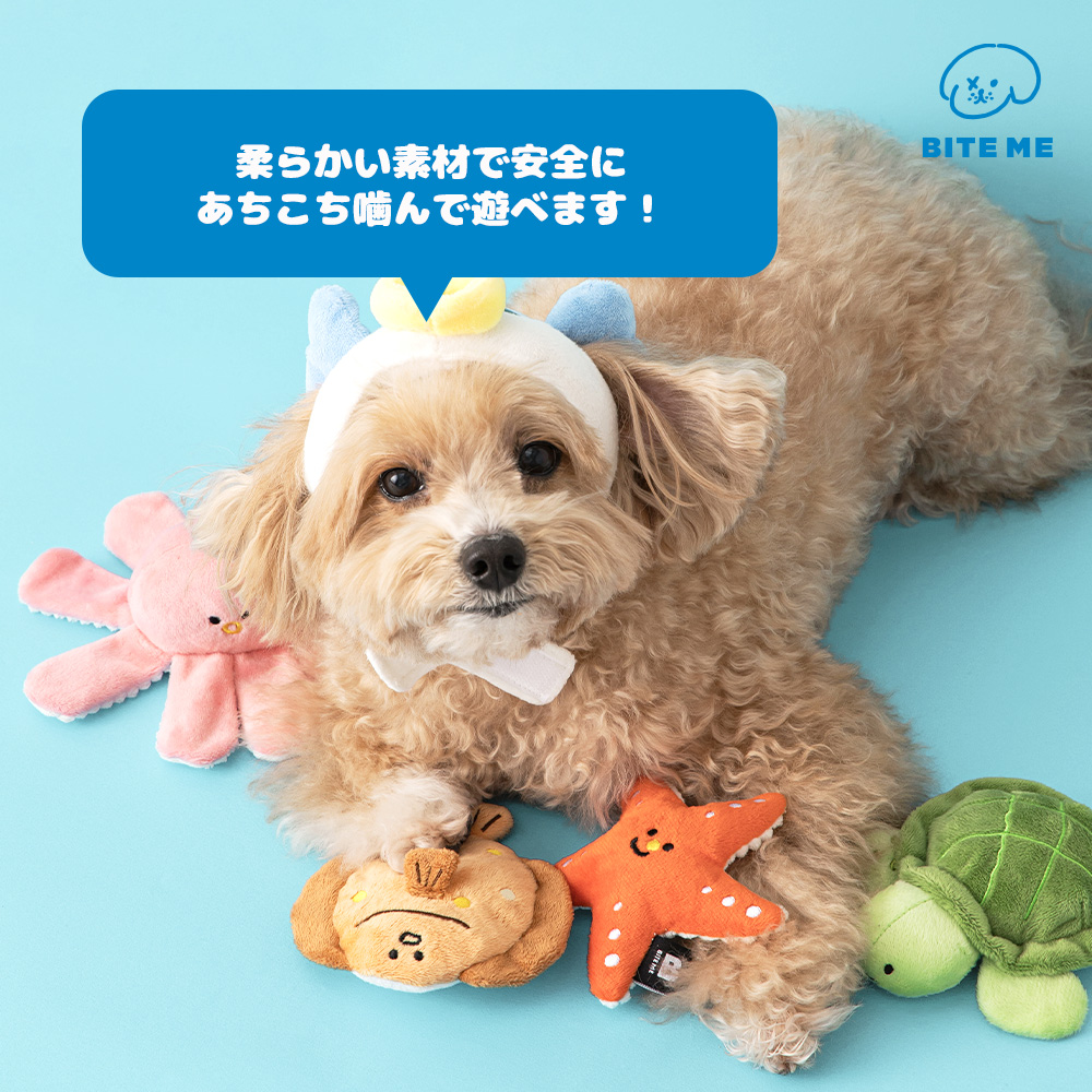 海のお友だちおもちゃ 種類: ヒトデ＆カメ