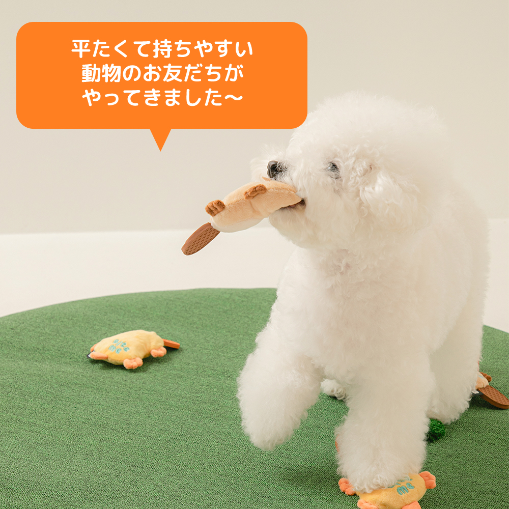 ぺたんこラテックスおもちゃ かものはし