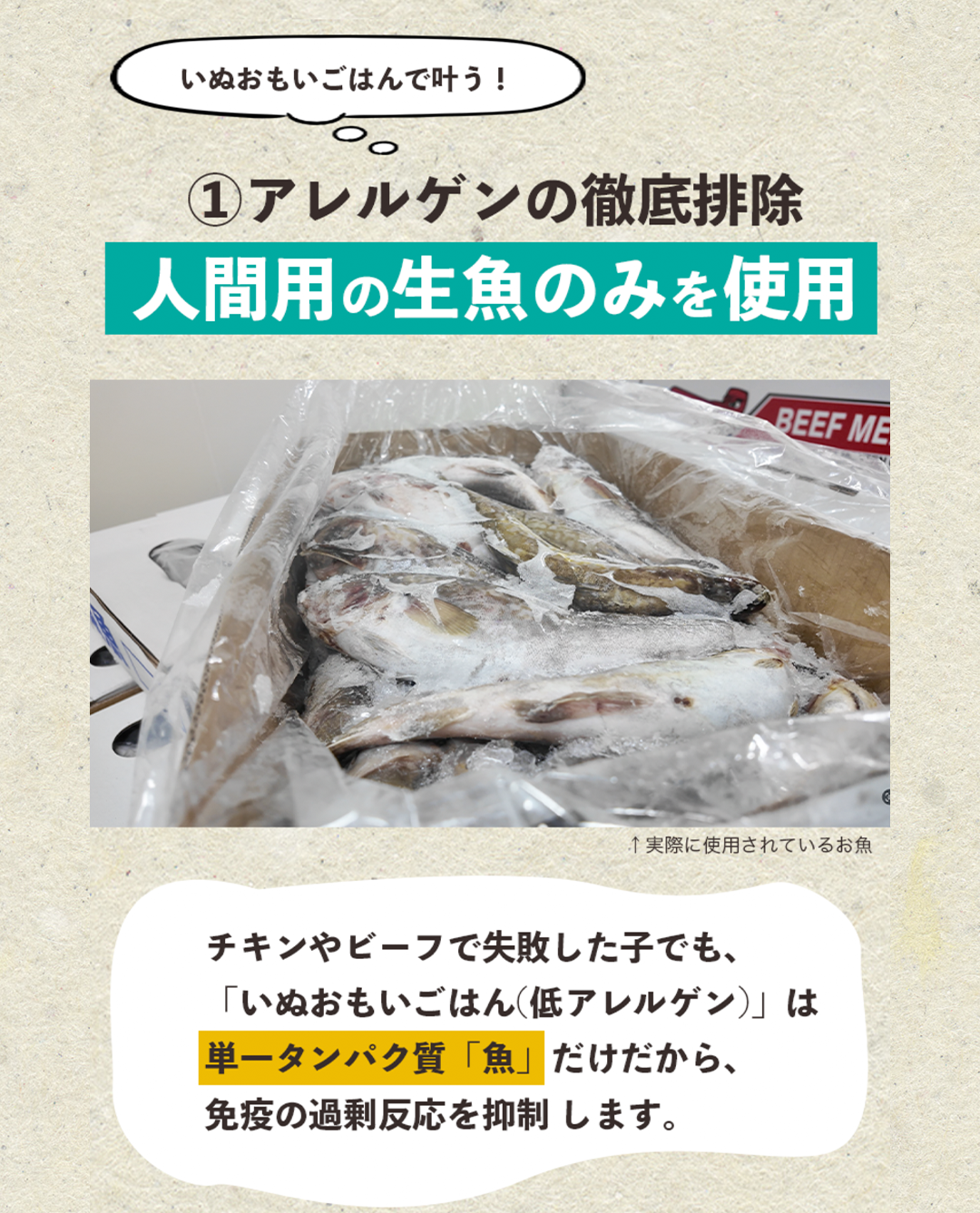【定期/初回800g1,980円】低アレルゲンいぬおもいごはん （2回目以降2袋）