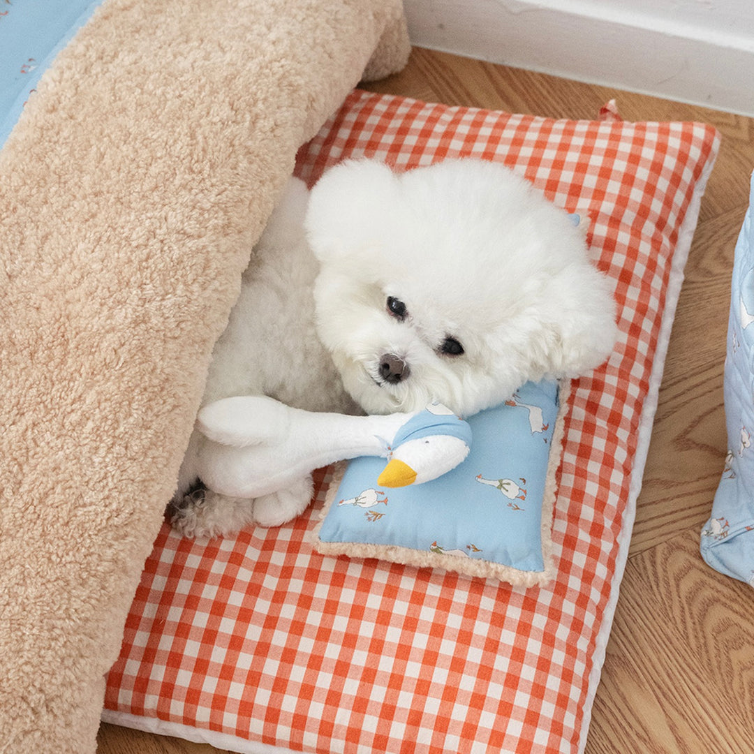 ※予約販売【noutti】Duck Blanket Cushion Set