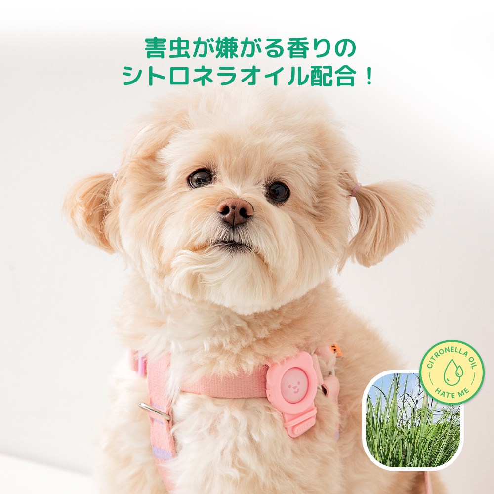 ヘイトミーバンド カラー: レモン