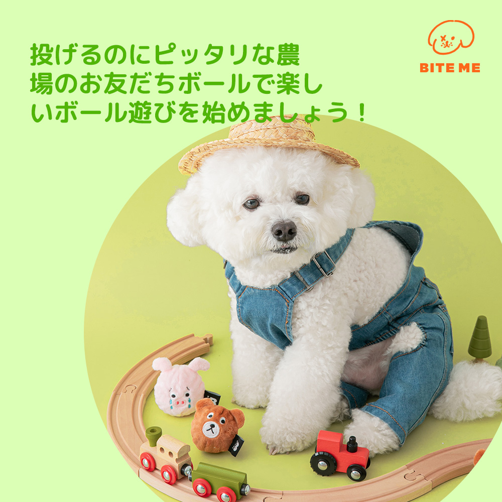 農場のお友だちボールおもちゃ（カエル）