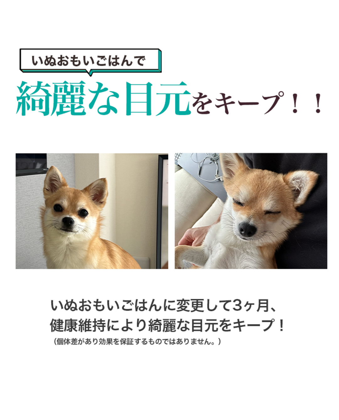 【定期/初回800g1,980円】低アレルゲンいぬおもいごはん （2回目以降2袋）