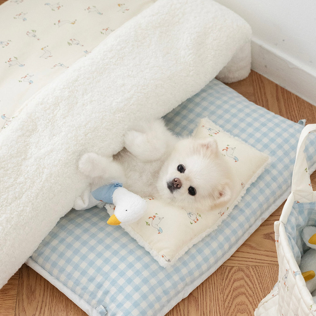 ※予約販売【noutti】Duck Blanket Cushion Set（Sky Blue)