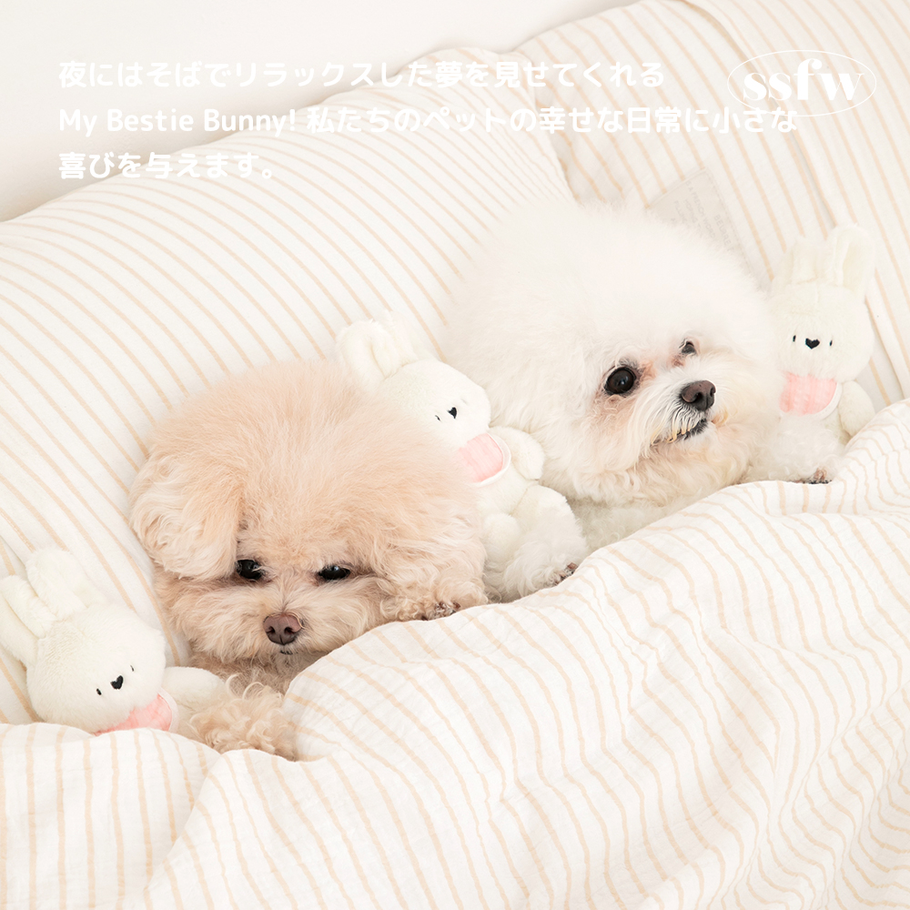 【SSFW】マイベスティバニーおもちゃ