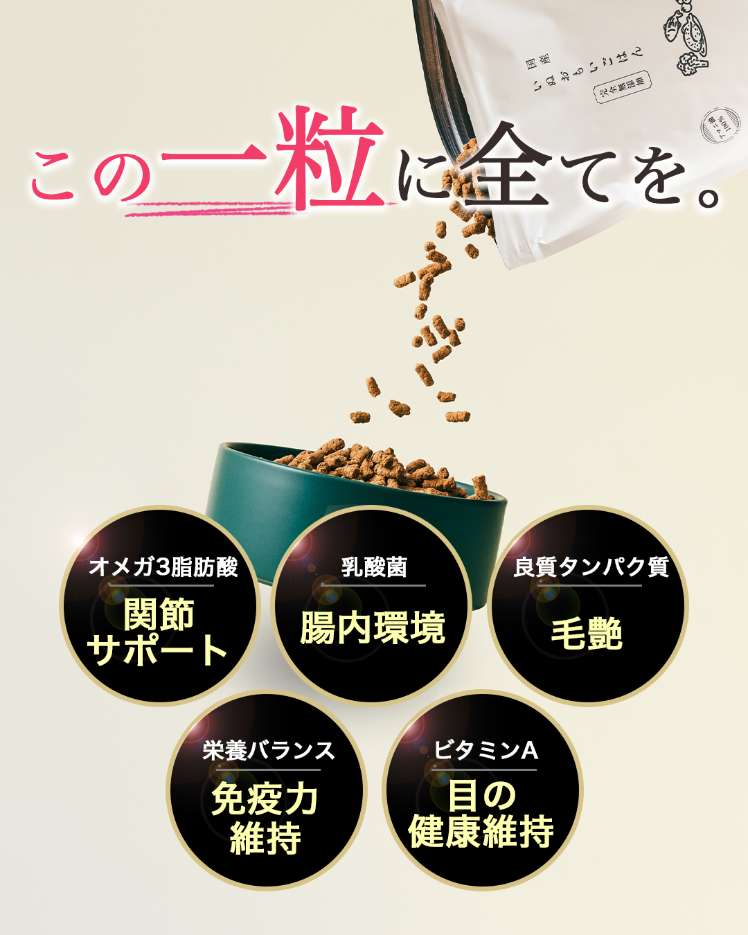 【定期・初回800g1,980円】いぬおもいごはん （2回目以降2袋）