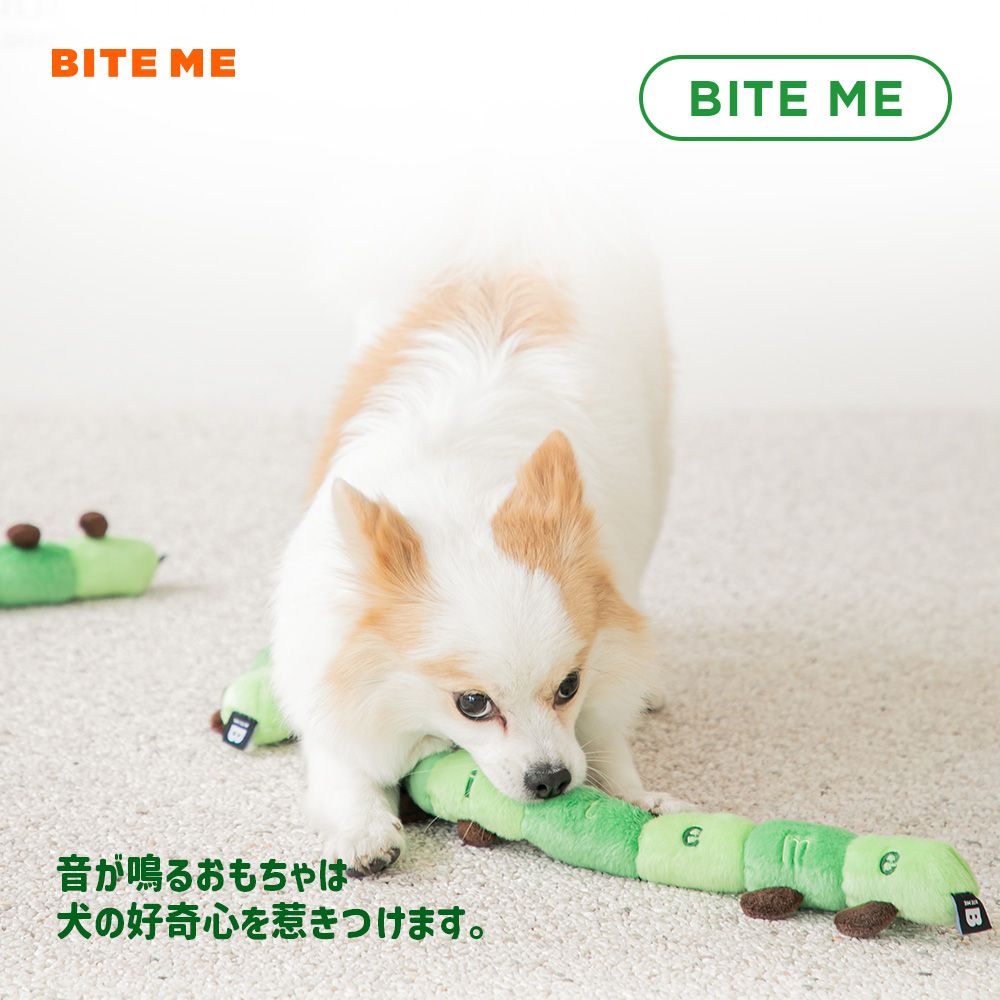 あおむしおもちゃ