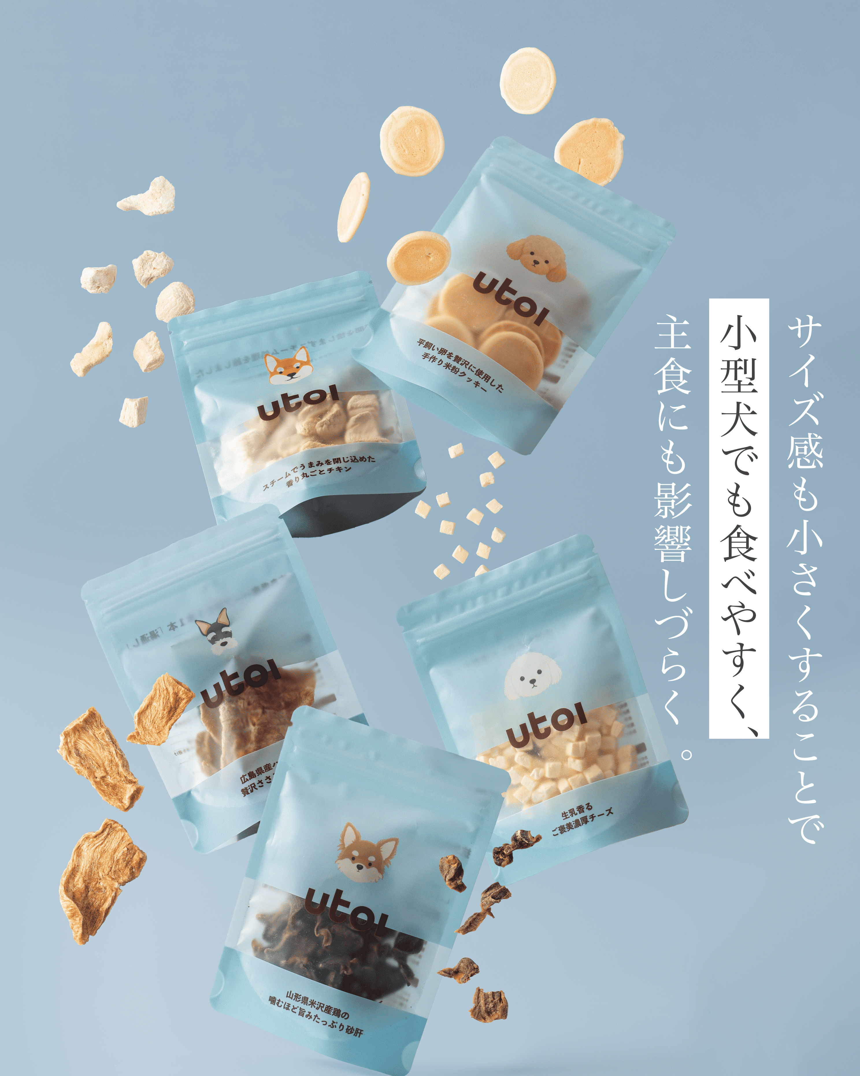【送料無料】いぬおもいおやつ5個セット