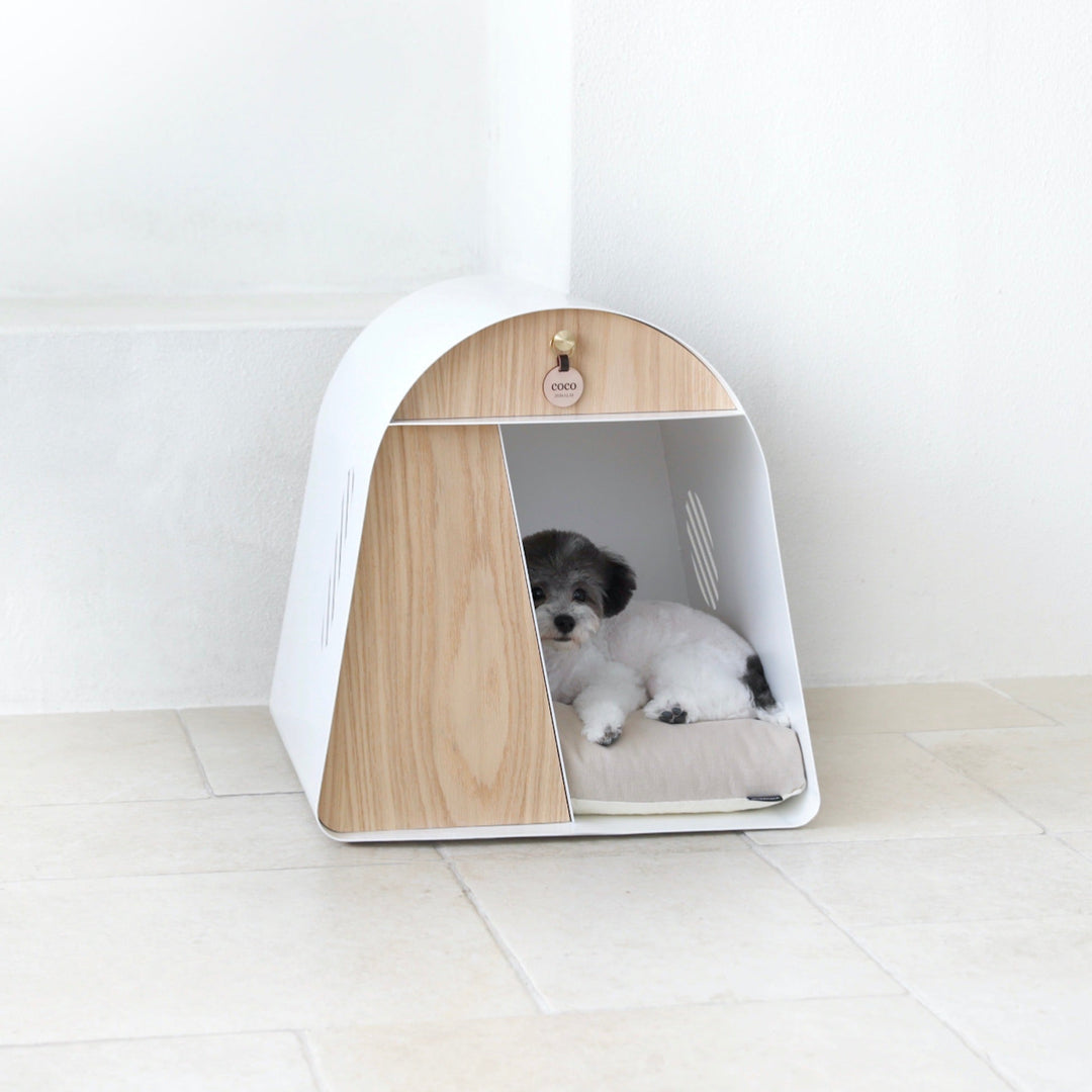 ※予約販売【andantte】A Round House 601（WHITE）
