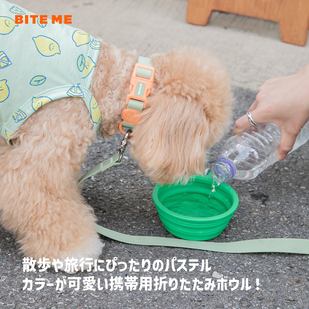 携帯用折りたたみボウルパステル 色: ラベンダー