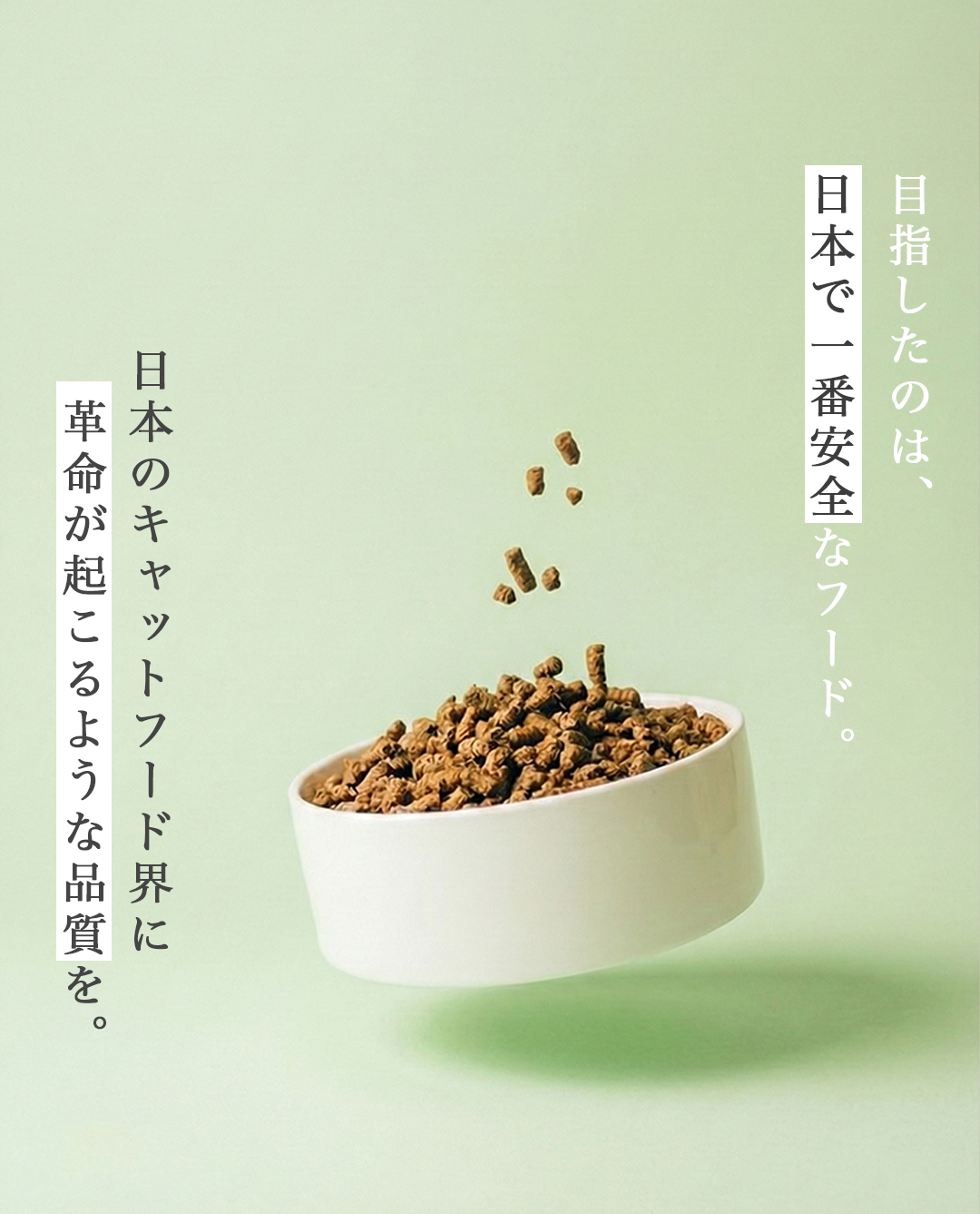 【定期/初回800g1,980円】ねこおもいごはん （2回目以降2袋）