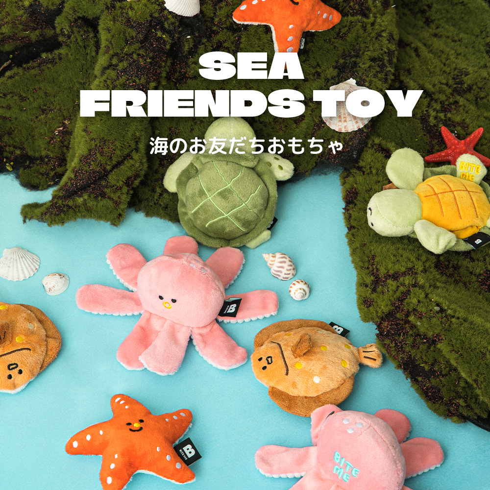 海のお友だちおもちゃ 種類: ヒトデ＆カメ
