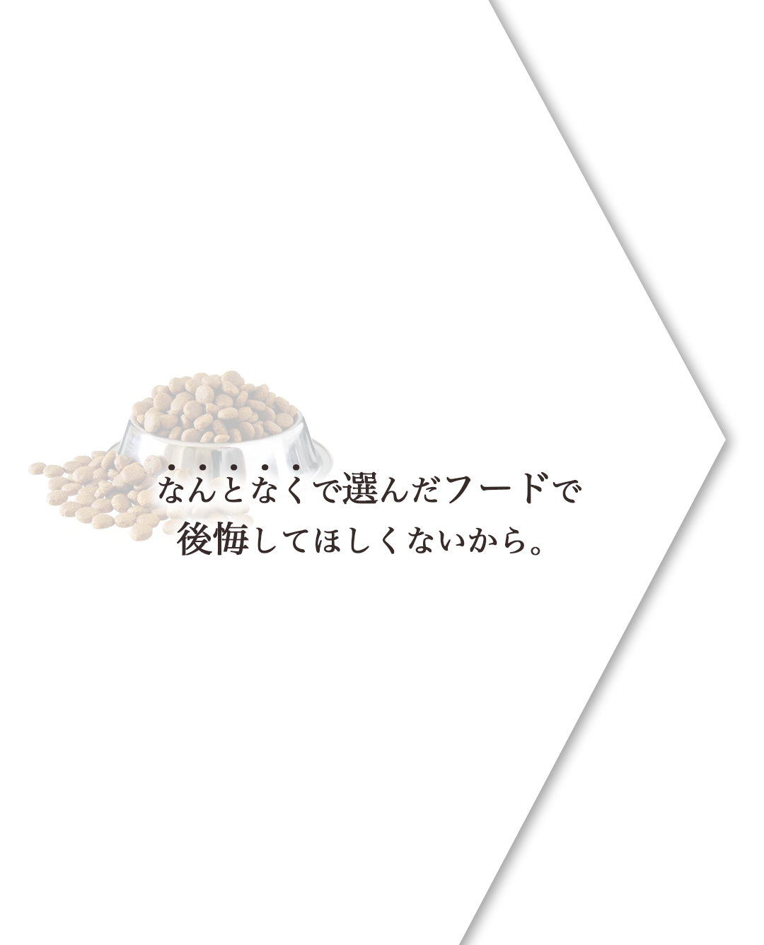 【定期・初回800g1,980円】いぬおもいごはん （2回目以降2袋）