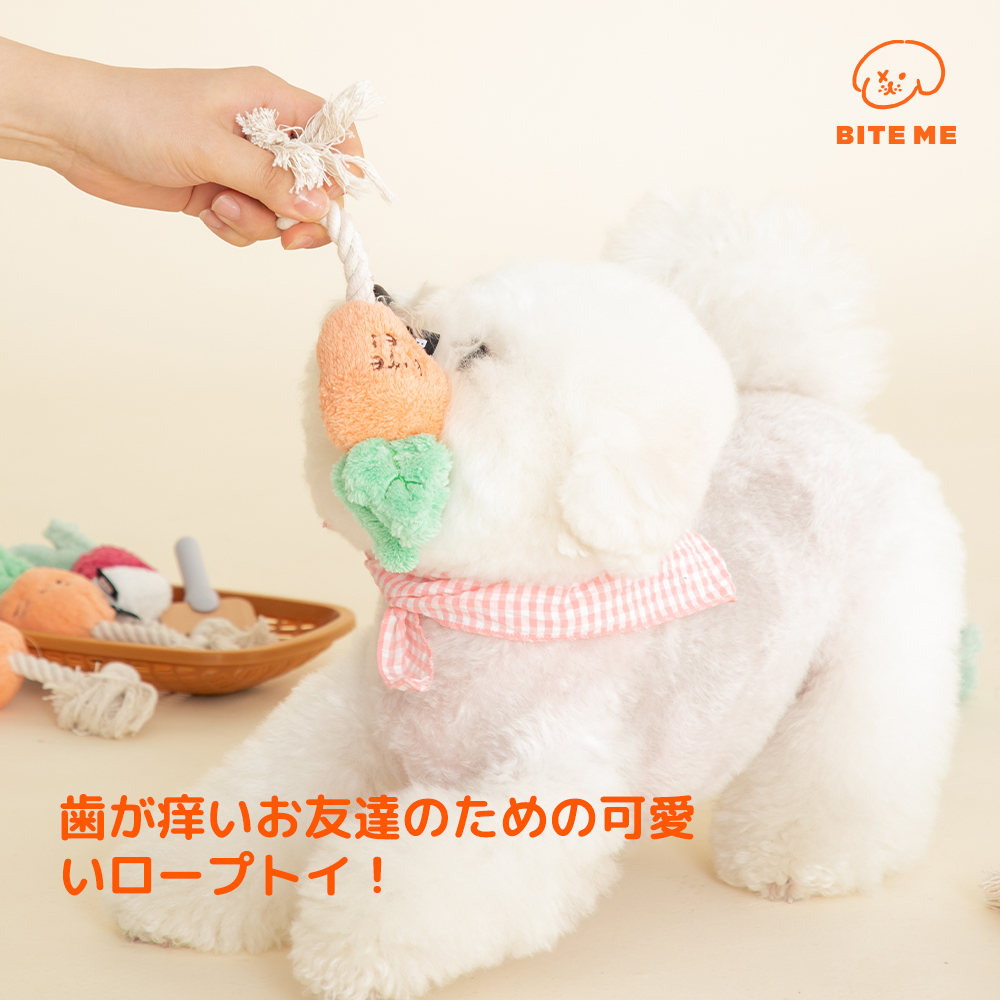 根菜ロープトイ（にんじん）