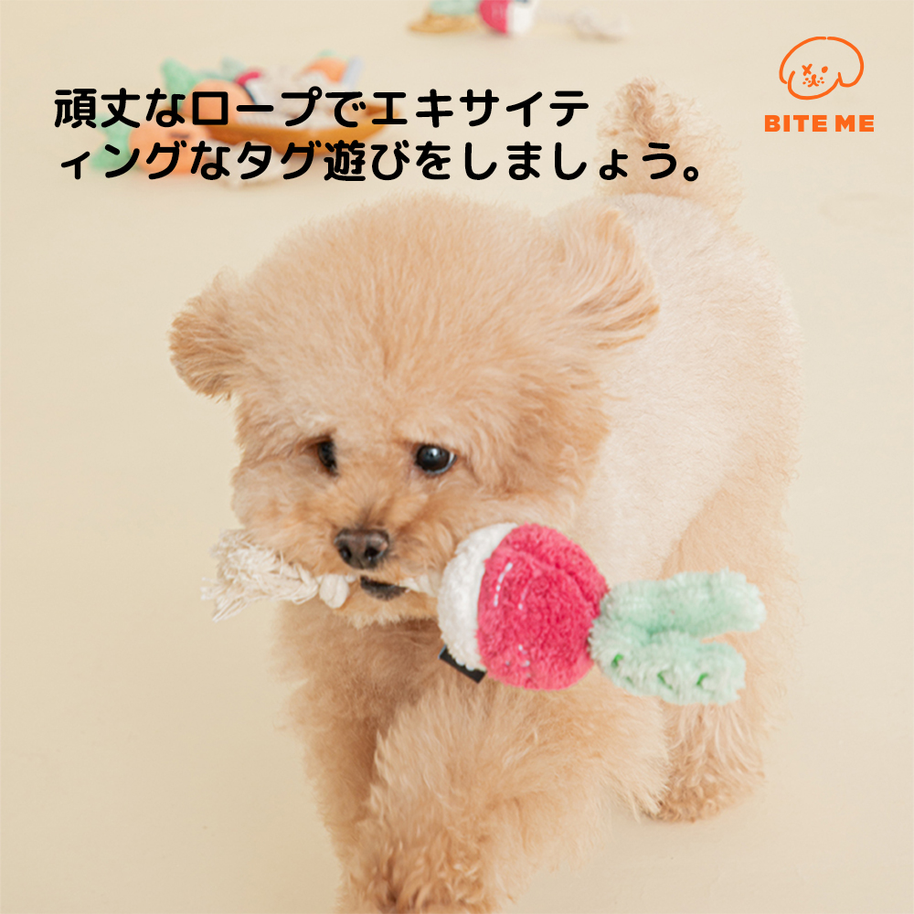 根菜ロープトイ（にんじん）