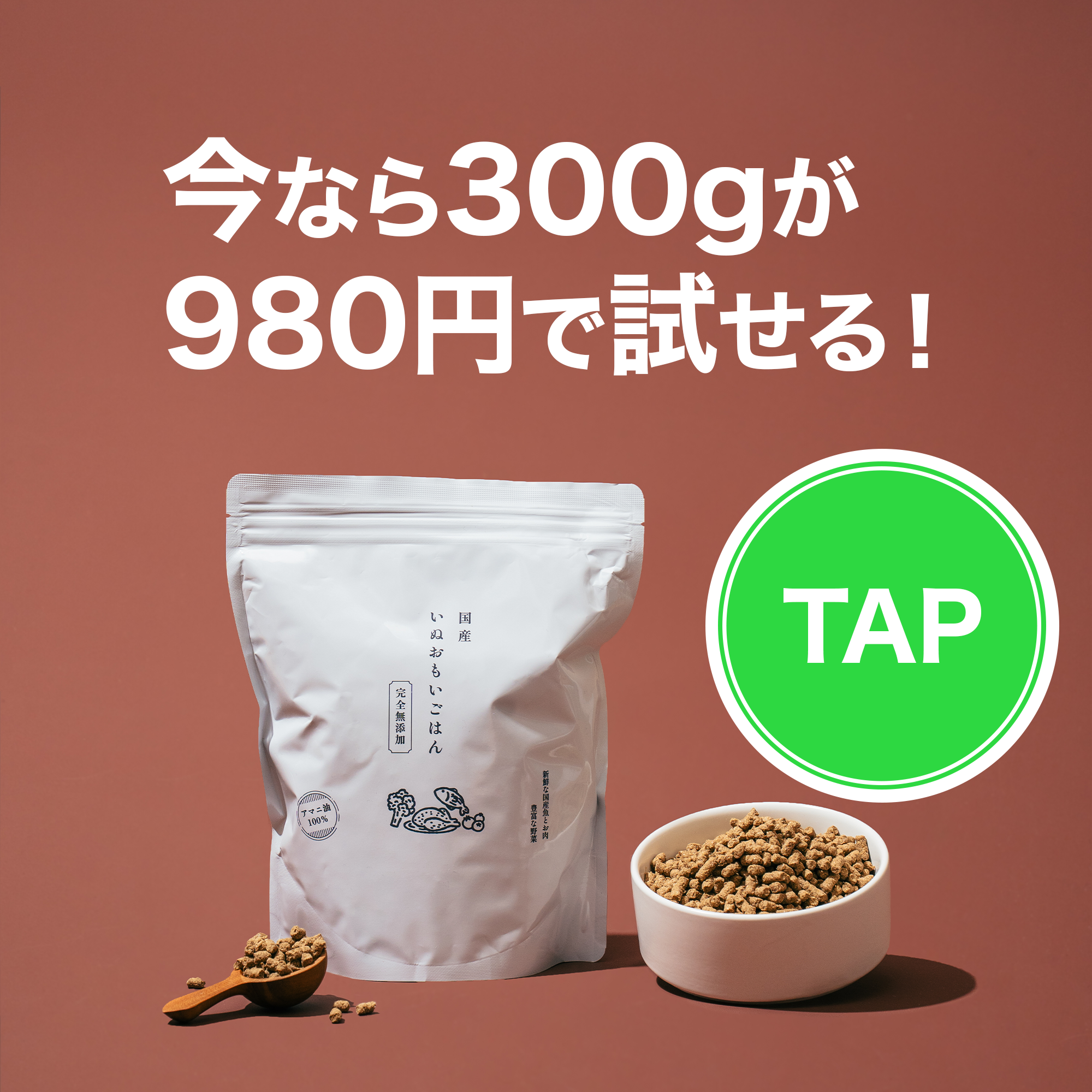 限定特典はこちら