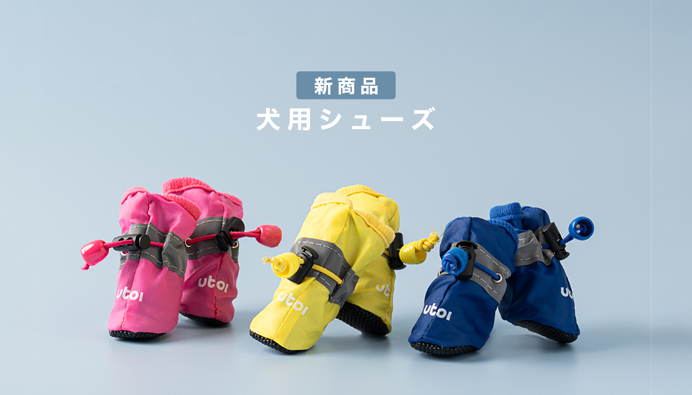 わんこの睡眠