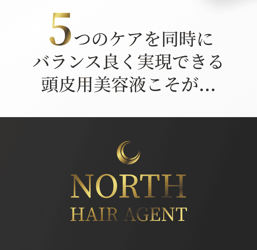 5つのケアを同時にバランス良く実現できる頭皮用美容液こそがNORTH HAIR AGENT