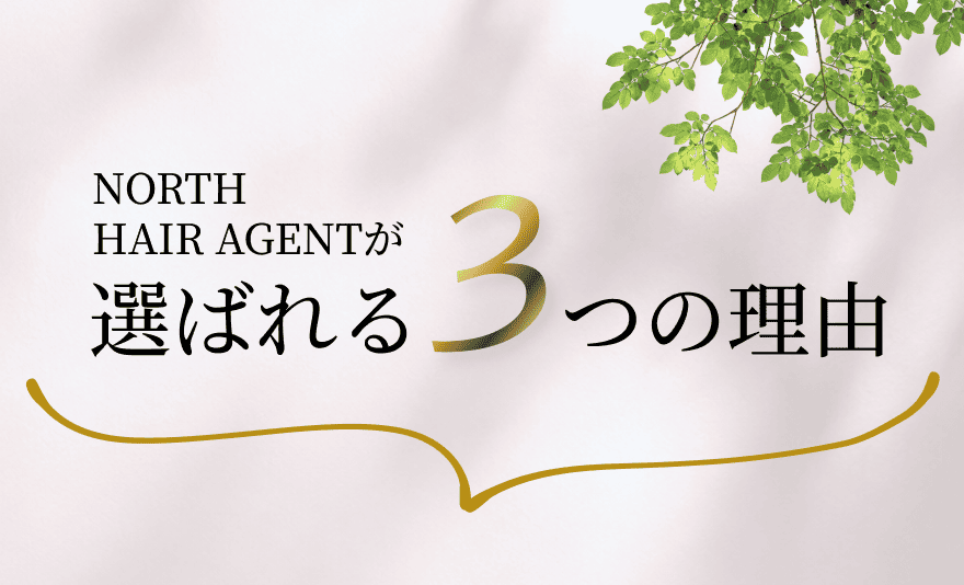 NORTH HAIR AGENTが選ばれる3つの理由