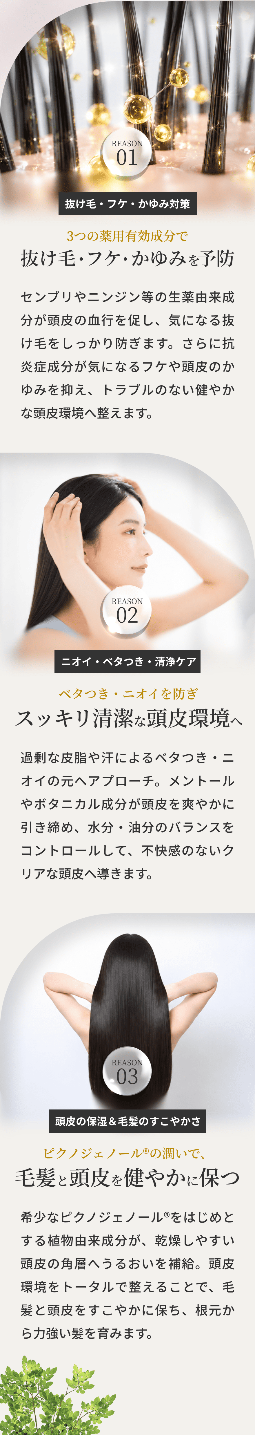 抜け毛・フケ・かゆみを予防、スッキリ清潔な頭皮環境へ、毛髪と頭皮を健やかに保つ