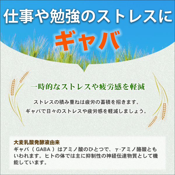 定期購入】1236 【機能性表示食品】めぐみのルテイン30 30日分 3個 ...