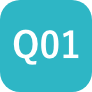 Q01