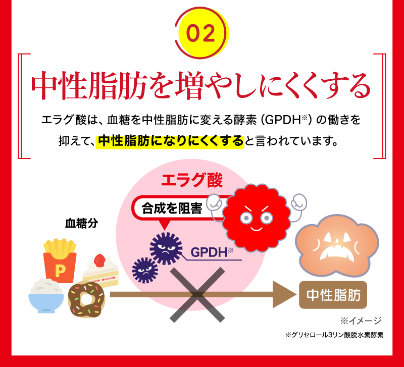 中性脂肪を増やしにくくする